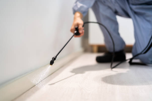 Licensed Termite Control service in Edmond, OK - Nex Pest Control