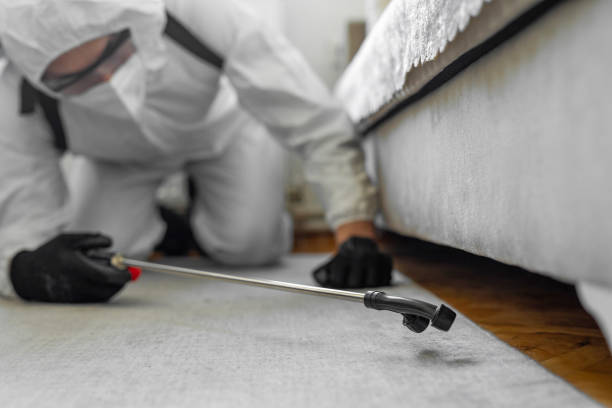 Professional Termite Control technician working in Edmond, OK
