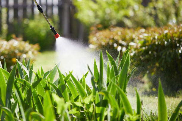 24/7 Emergency Termite Control experts in Edmond, OK