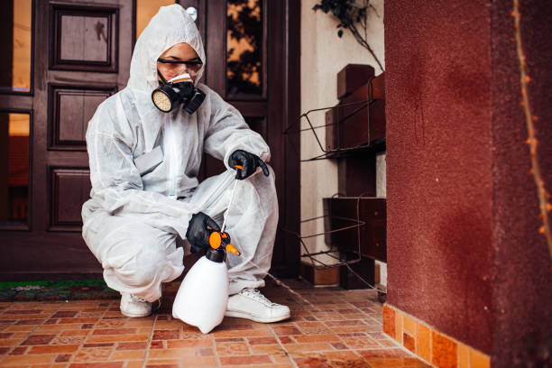 Reliable Termite Control contractor in Edmond, OK by Nex Pest Control