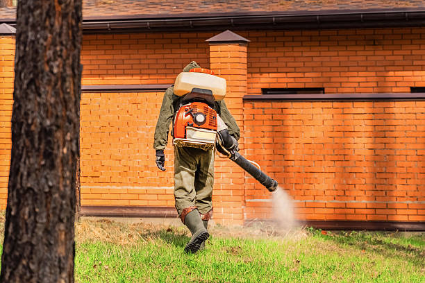 Top rated local Termite Control specialists in Edmond, OK